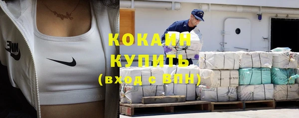 дживик Верея