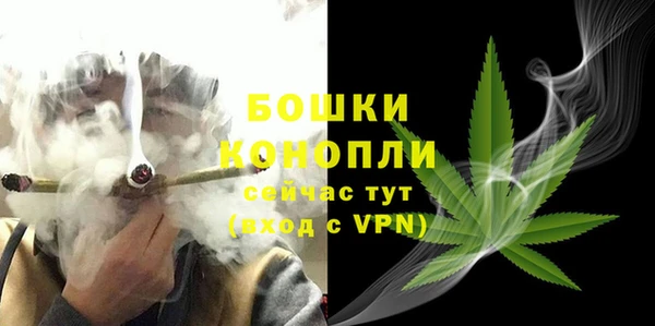 дживик Верея