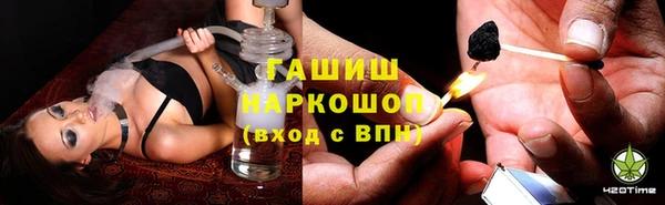твердый Бородино