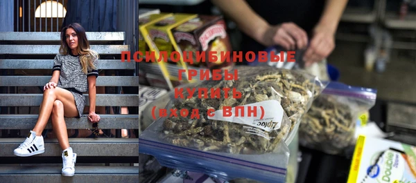 твердый Бородино