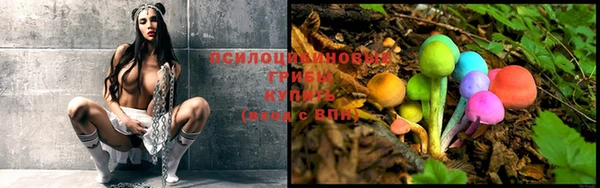 винт Верхний Тагил