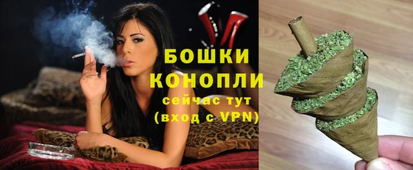 дживик Верея