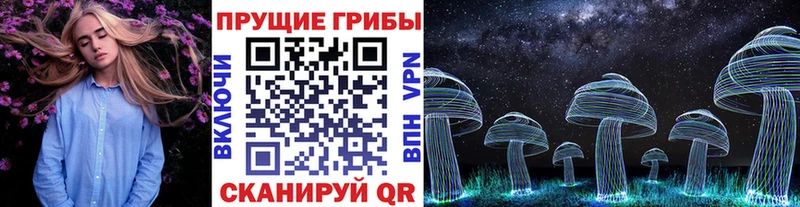 ОМГ ОМГ онион  Новохопёрск  Псилоцибиновые грибы Psilocybe 